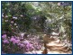 Springbrook QLD 4213
