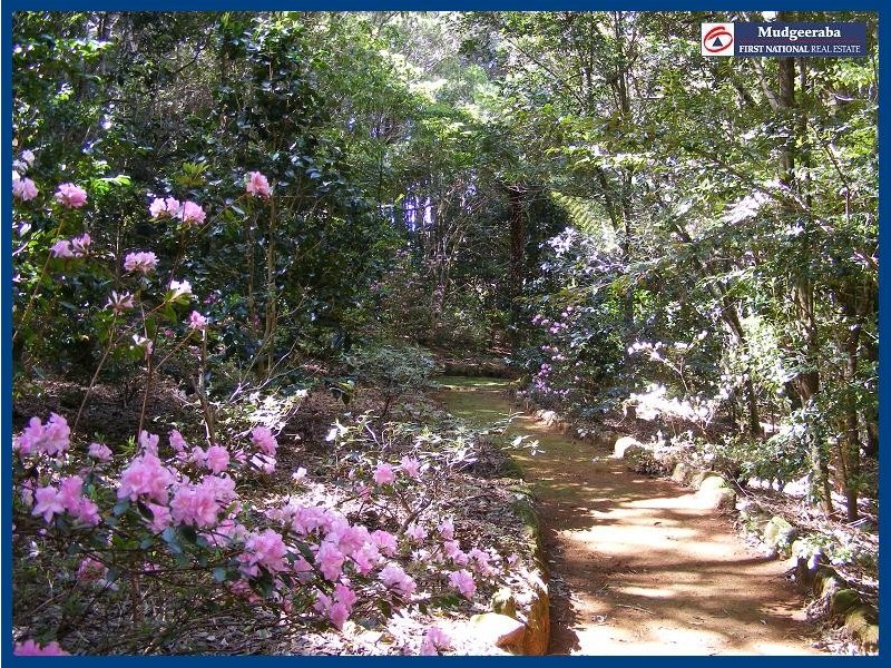 Springbrook QLD 4213