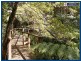 Springbrook QLD 4213