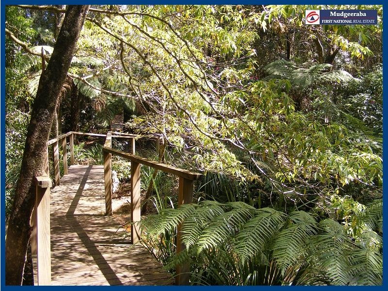 Springbrook QLD 4213