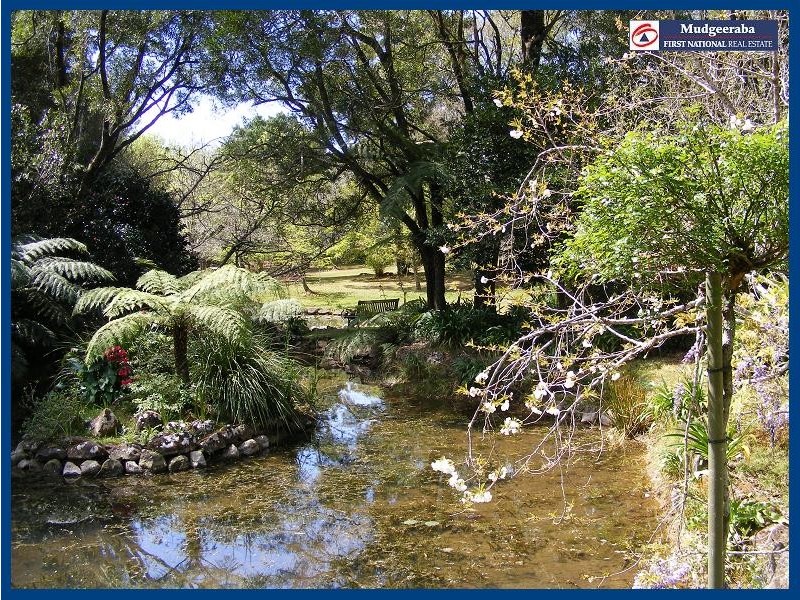 Springbrook QLD 4213