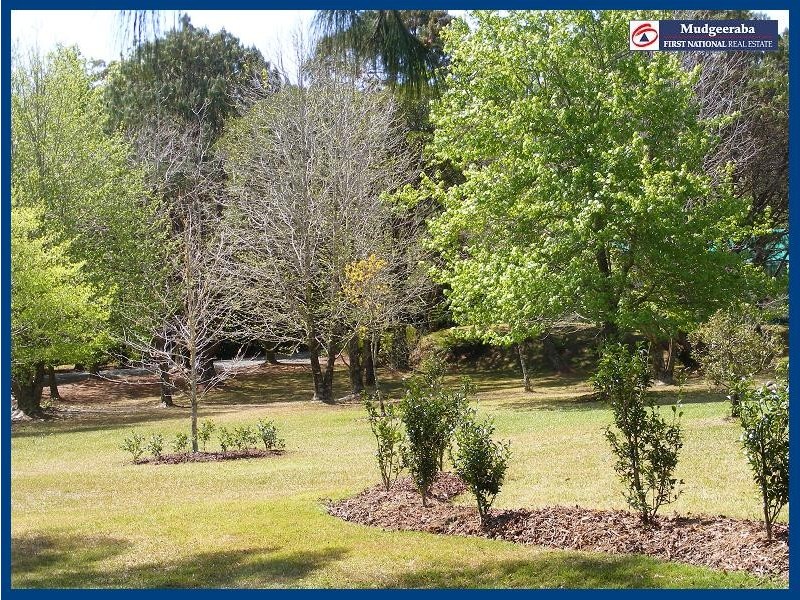 Springbrook QLD 4213