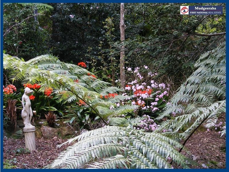 Springbrook QLD 4213