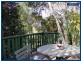 Springbrook QLD 4213