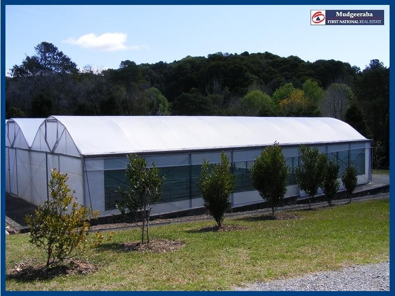 Springbrook QLD 4213