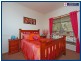 235 Carrington Road, Bonogin QLD 4213
