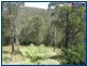 235 Carrington Road, Bonogin QLD 4213