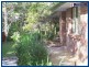 Springbrook QLD 4213