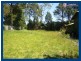 2356 Springbrook Road, Springbrook QLD 4213