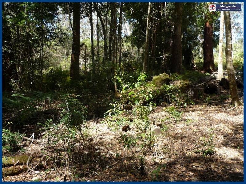 7 Wattle Grove, Springbrook QLD 4213