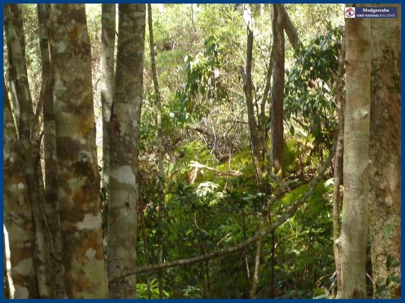 7 Wattle Grove, Springbrook QLD 4213