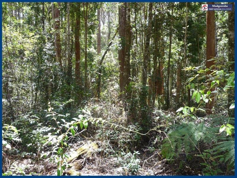 7 Wattle Grove, Springbrook QLD 4213