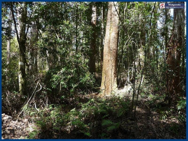 7 Wattle Grove, Springbrook QLD 4213