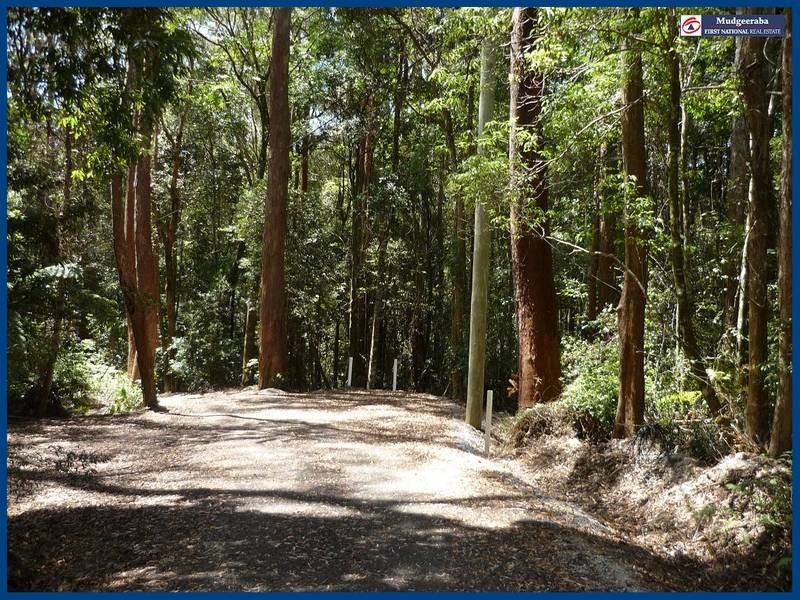 7 Wattle Grove, Springbrook QLD 4213