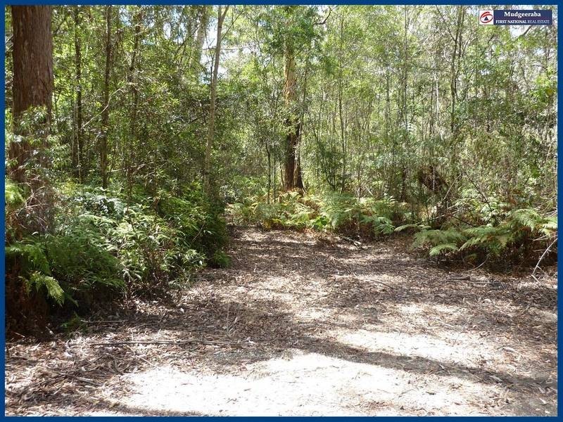 52 Canyon Parade, Springbrook QLD 4213