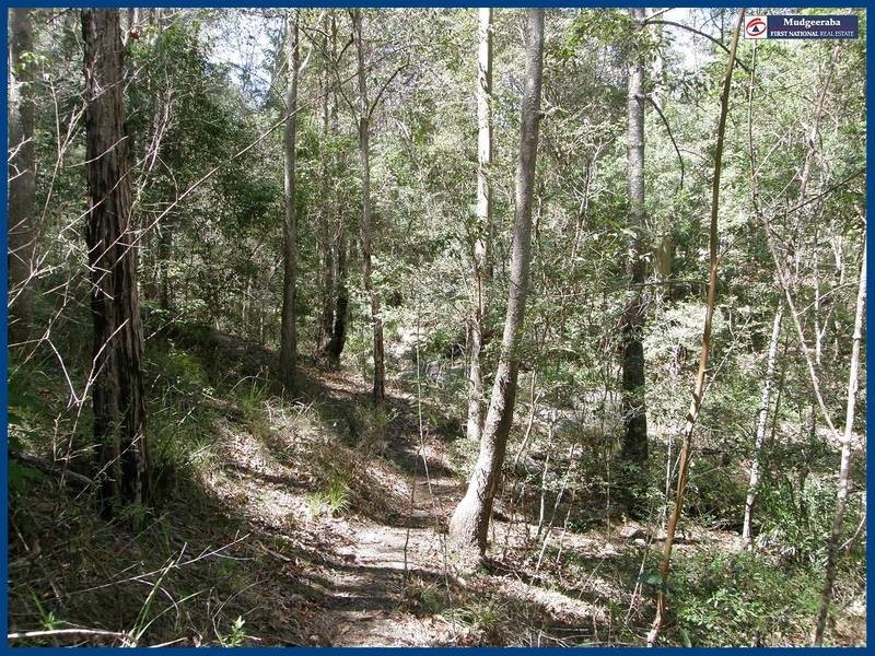 22 Fowler Court, Bonogin QLD 4213