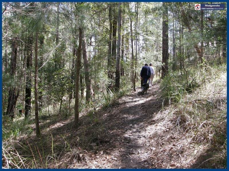 22 Fowler Court, Bonogin QLD 4213