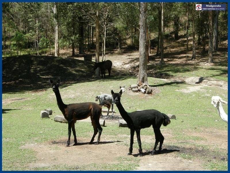 22 Fowler Court, Bonogin QLD 4213