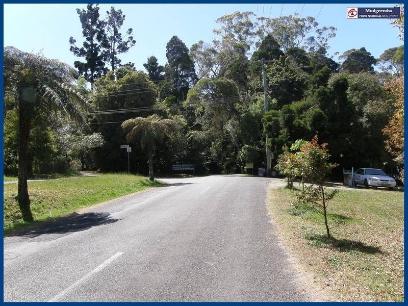31 Forestry Road, Springbrook QLD 4213