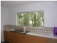 15 Mimosa Road, Springbrook QLD 4213