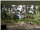 15 Mimosa Road, Springbrook QLD 4213