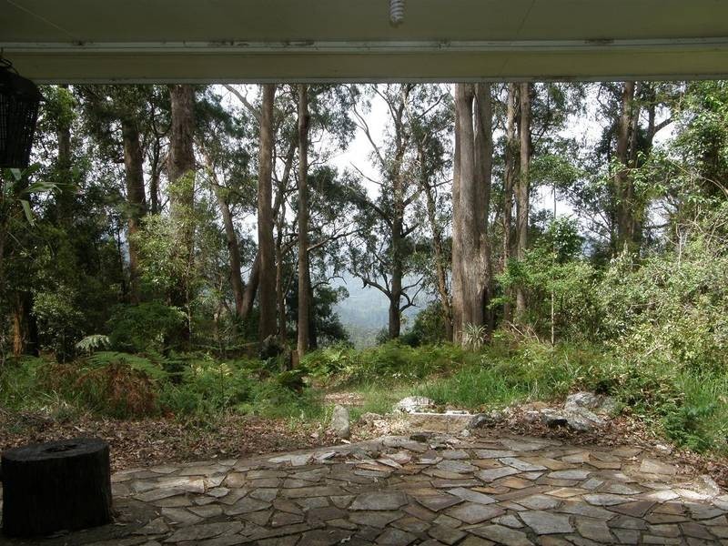 15 Mimosa Road, Springbrook QLD 4213