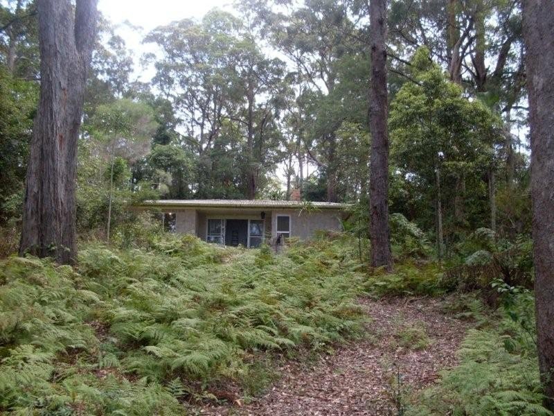 15 Mimosa Road, Springbrook QLD 4213