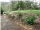 35 Daintree Crt, Austinville QLD 4213