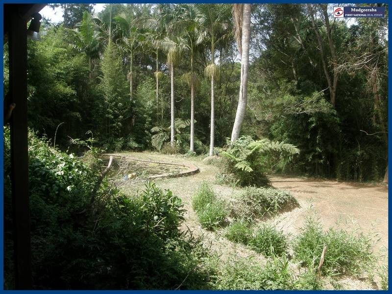 2311b Springbrook Road, Springbrook QLD 4213