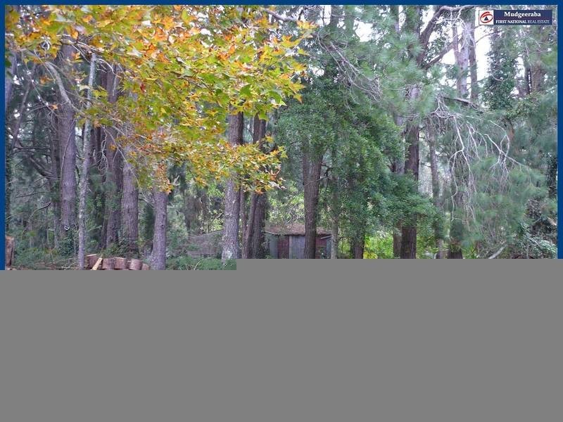 2311b Springbrook Road, Springbrook QLD 4213