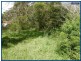 2703 Springbrook Road, Springbrook QLD 4213