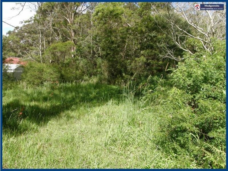 2703 Springbrook Road, Springbrook QLD 4213