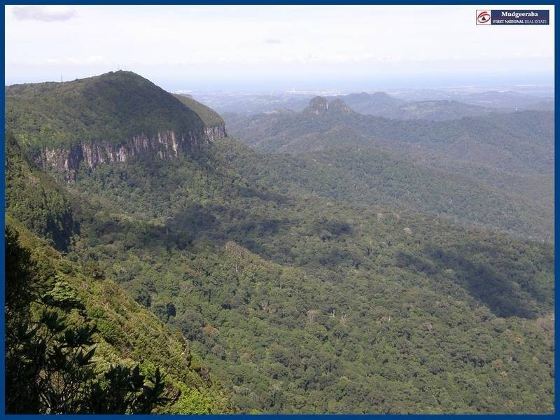 2703 Springbrook Road, Springbrook QLD 4213