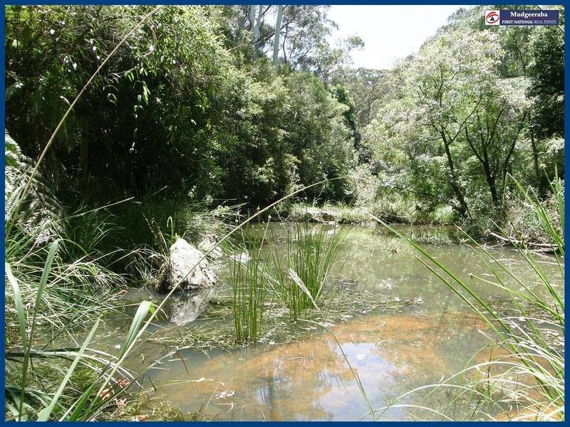 37 Lloyds Road, Springbrook QLD 4213