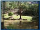 98 Staghorn, Austinville QLD 4213