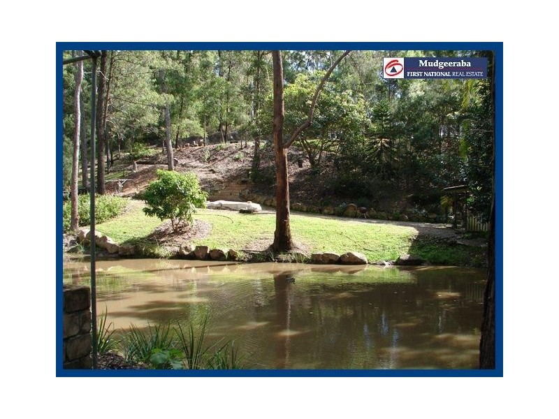 98 Staghorn, Austinville QLD 4213