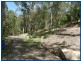 98 Staghorn, Austinville QLD 4213