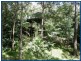 98 Staghorn, Austinville QLD 4213