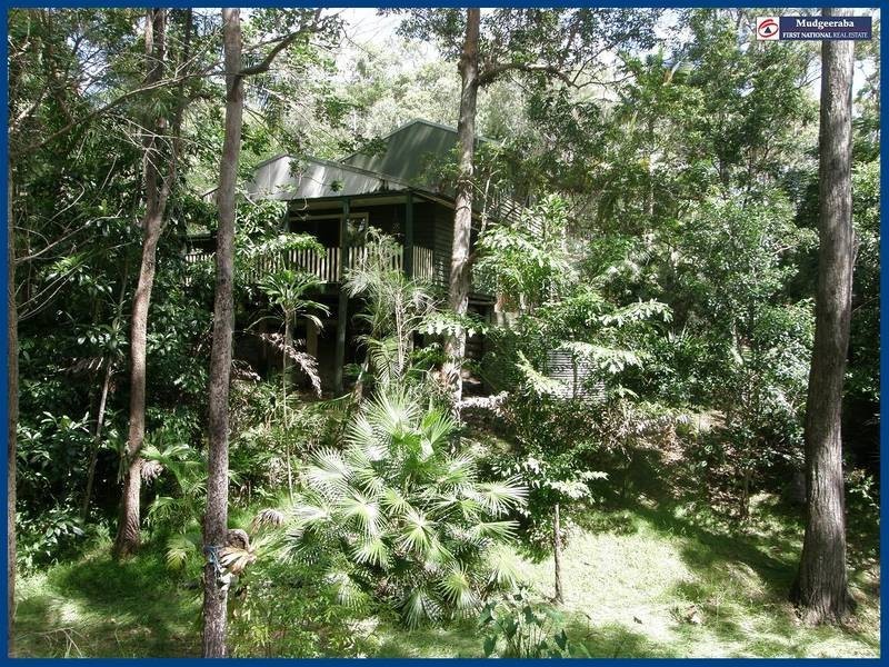 98 Staghorn, Austinville QLD 4213