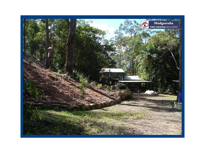 98 Staghorn, Austinville QLD 4213