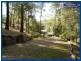 98 Staghorn, Austinville QLD 4213