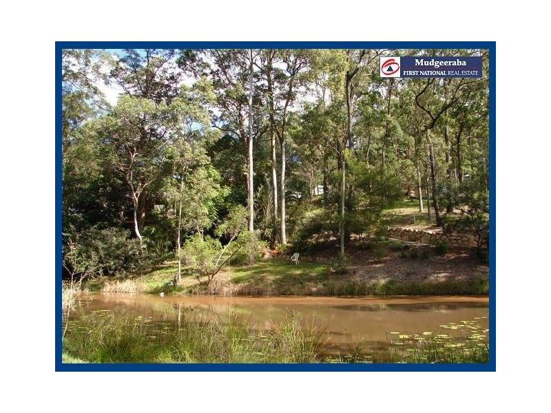 98 Staghorn, Austinville QLD 4213