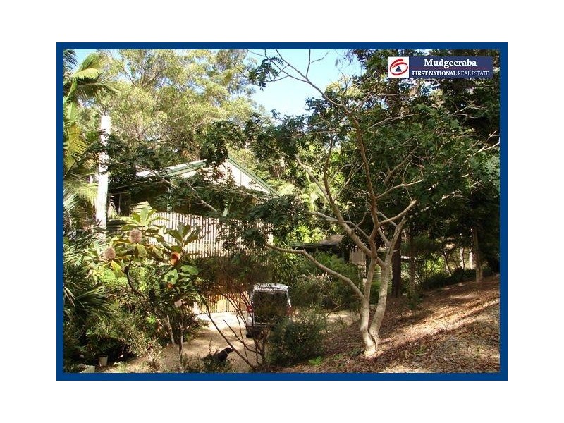 98 Staghorn, Austinville QLD 4213