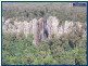 2693 Springbrook Road, Springbrook QLD 4213