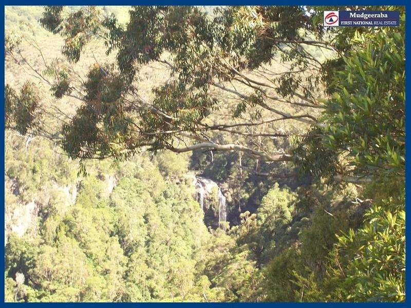 2693 Springbrook Road, Springbrook QLD 4213