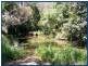 Lot 126, 35 Lloyds Road, Springbrook QLD 4213