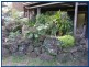 2293 Springbrook Road, Springbrook QLD 4213