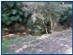 2293 Springbrook Road, Springbrook QLD 4213