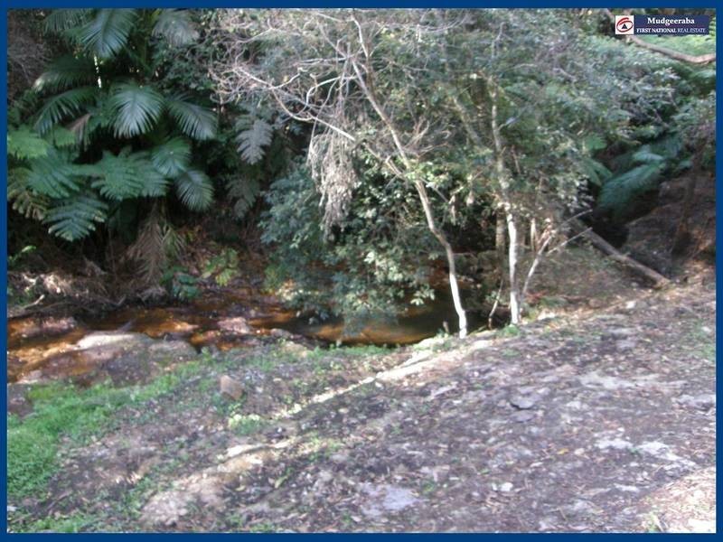 2293 Springbrook Road, Springbrook QLD 4213