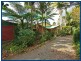 2313 Springbrook Road, Springbrook QLD 4213